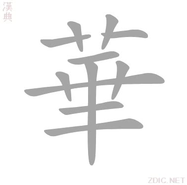 華名字意思|華的意思，華字的意思